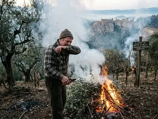 Tra gli ulivi, il fuoco delle frasche e il fumo negli occhi; sul cartello, il proverbio popolare sanvitese sul fumo e i belli.