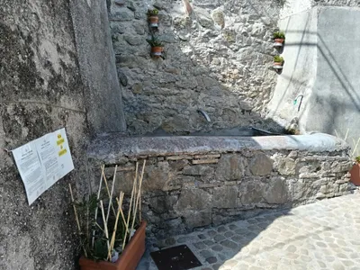 Il vaschettone