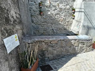 Il vaschettone