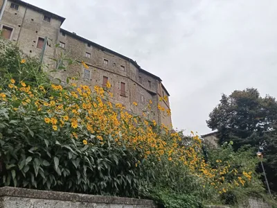 Il Castello Theodoli visto dal basso, da Via Santa Maria, sopra la scarpata fiorita di giallo.
