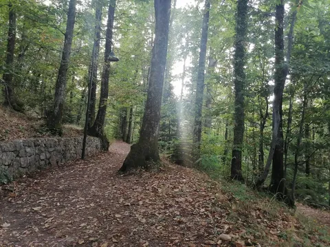 La Macchiarella