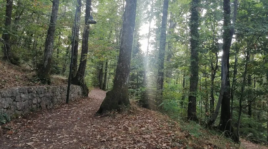 La Macchiarella