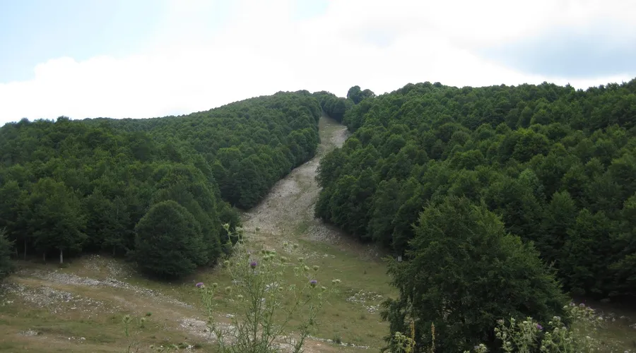 Monte Livata