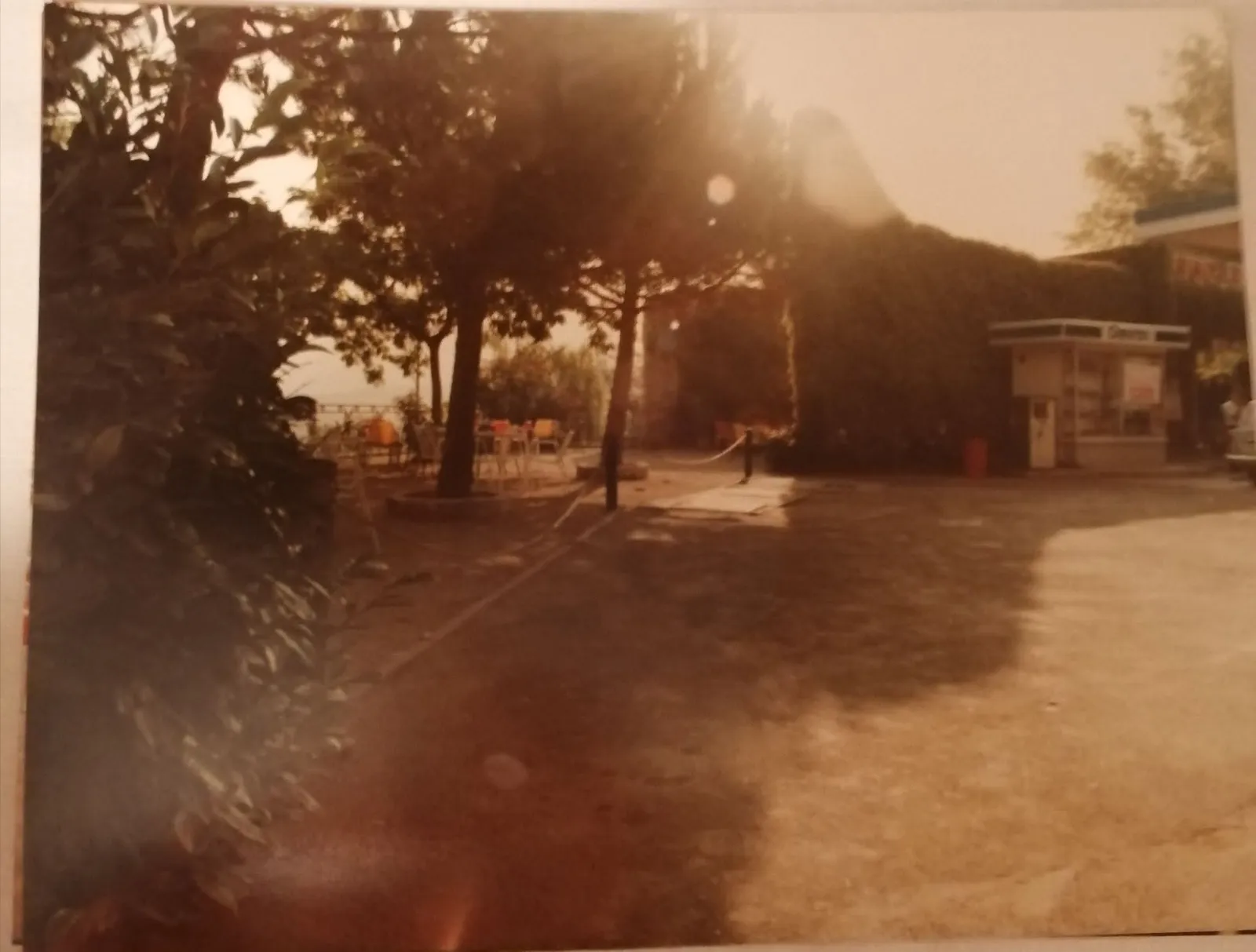Il piazzale del bar al tramonto, tra i tavolini colorati e la siepe che costeggiava il locale.
