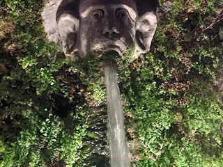 Un mascherone di pietra da cui sgorga l'acqua, tra felci e muschio.