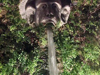 Un mascherone di pietra da cui sgorga l'acqua, tra felci e muschio.