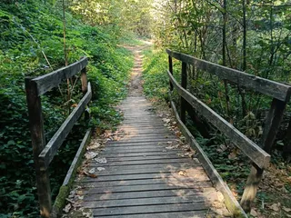 Uno dei ponticelli in legno lungo i sentieri del bosco