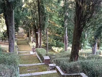 Il lungo viale a gradoni tra cipressi e siepi.
