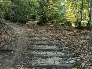 Gradini di tronchi e pietra tra le foglie cadute