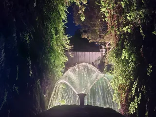 Un getto d'acqua a ventaglio tra la vegetazione, illuminato di notte.
