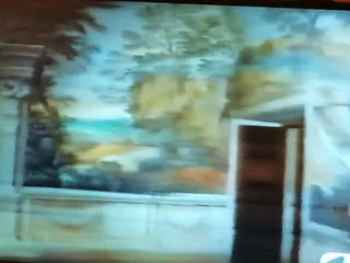 Una sala interna con le pareti affrescate a paesaggi, in un fotogramma di una ripresa televisiva.