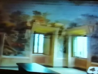 Sala affrescata con due finestre: i paesaggi dipinti proseguono sulla volta, in un fotogramma di una ripresa televisiva.