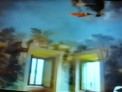 Le finestre della sala affrescata e il cielo dipinto sulla volta, in un fotogramma di una ripresa televisiva.