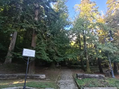 La Macchiarella - foto 1