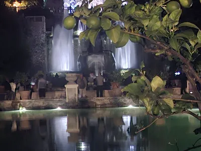 La Fontana dell'Organo vista tra i rami di un agrumeto.
