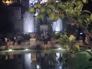 La Fontana dell'Organo vista tra i rami di un agrumeto.