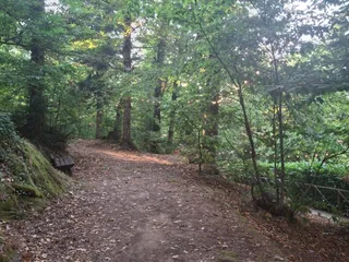 La Macchiarella