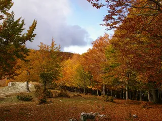 Monte Livata