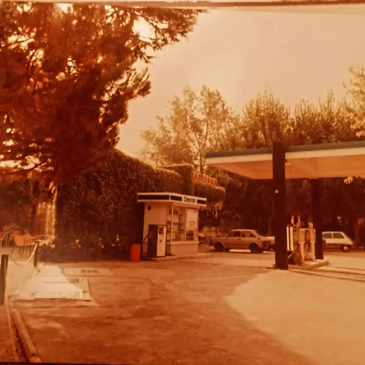 L’insegna “Bar 2000” tra il verde, accanto al distributore di benzina.