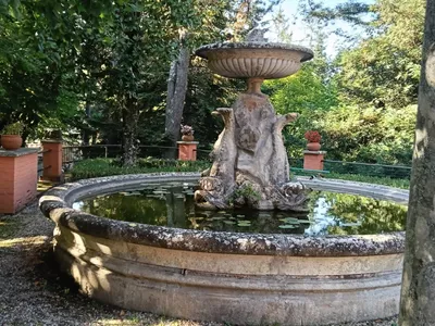 La fontana con i delfini e le ninfee, circondata dal verde del parco.