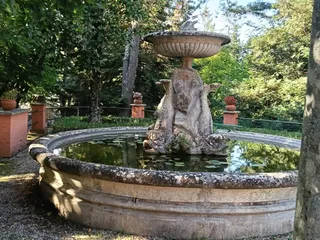 La fontana con i delfini e le ninfee, circondata dal verde del parco.