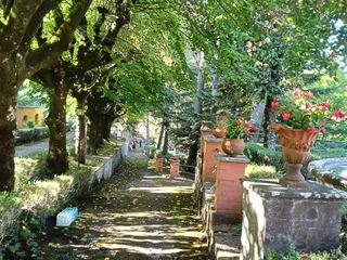 Il viale alberato con i vasi di fiori sui pilastri in mattoni.