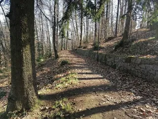 La Macchiarella