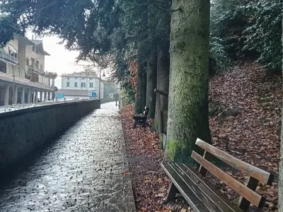 La Macchiarella - foto 5
