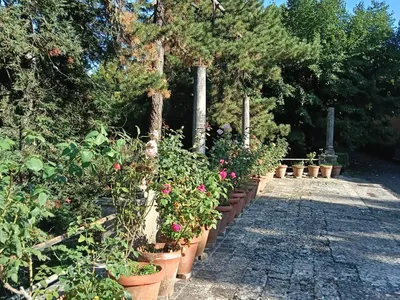 La terrazza con le rose in vaso e le antiche colonne.