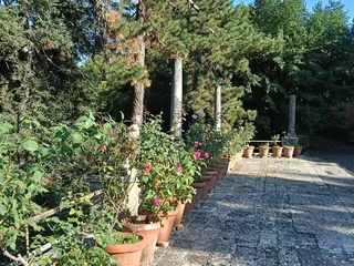 La terrazza con le rose in vaso e le antiche colonne.