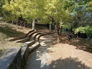 Le gradinate in pietra a semicerchio, all'ombra degli alberi.