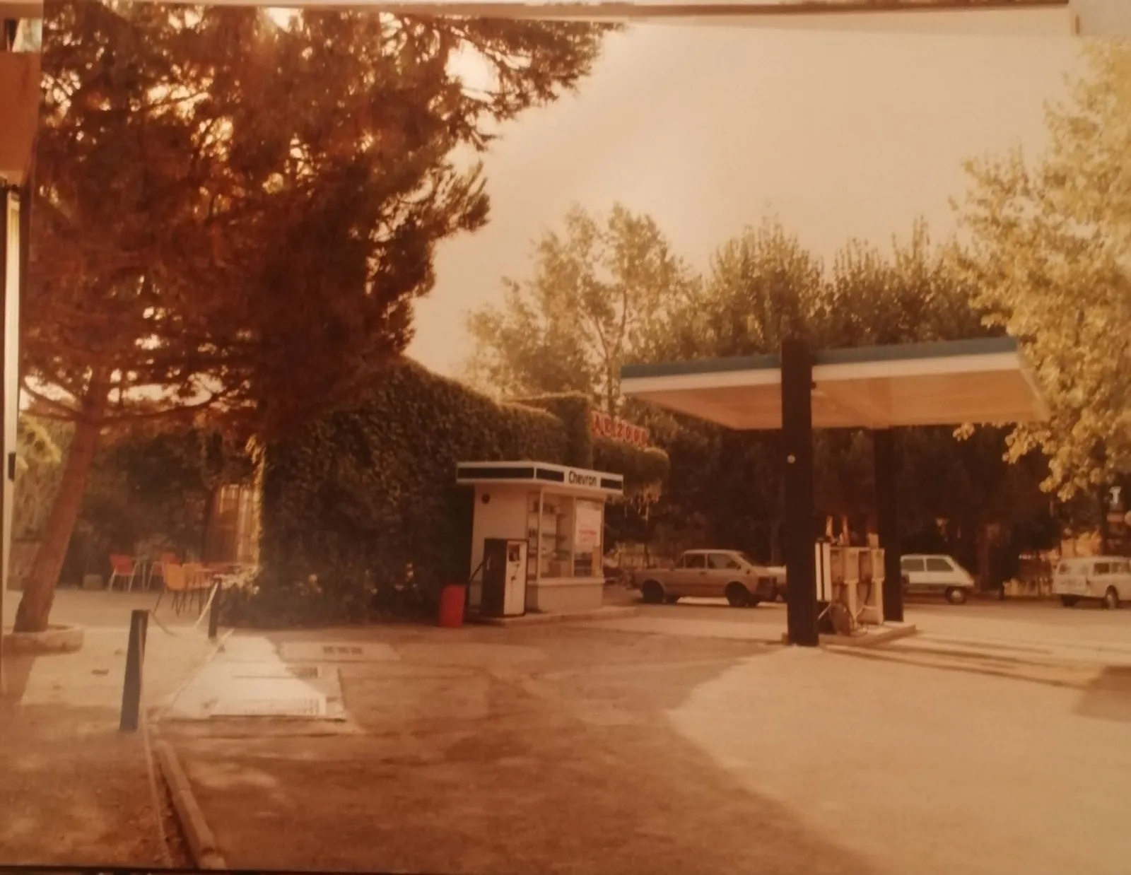 Il piazzale del bar con il distributore di benzina Chevron e l’insegna “Bar 2000” visibile tra il verde.