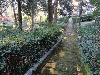 Una scalinata tra le siepi, all'ombra di cipressi e cedri.